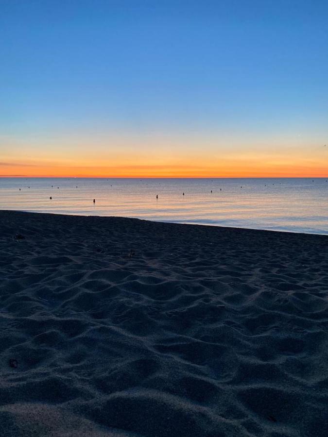 Un Petit Nid Les Pieds Dans L'Eau Apartment Argelès-sur-Mer Exterior foto